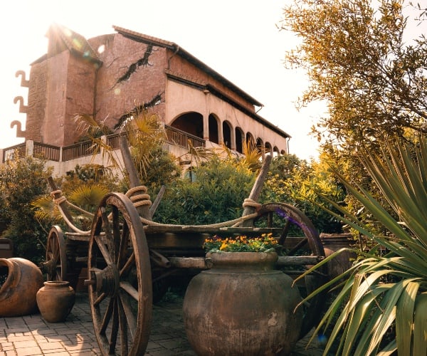 cf-mexico-2023_02.jpg
